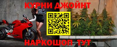 spice Дубна