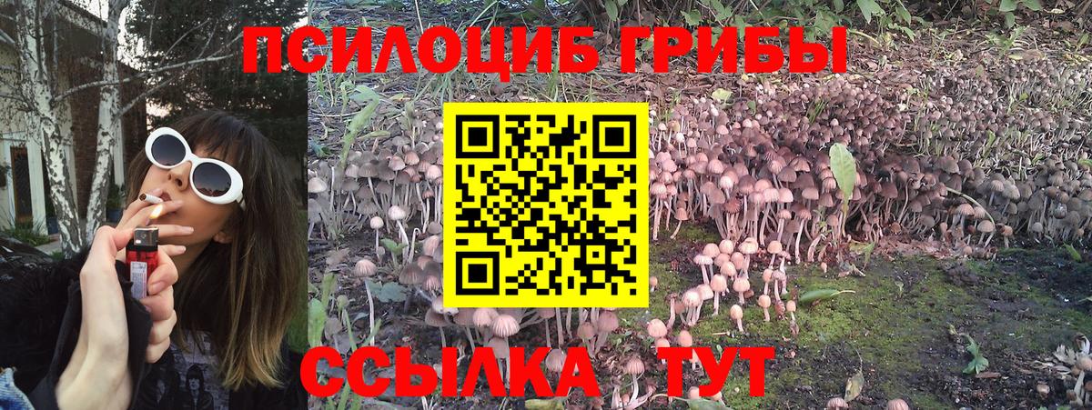 Псилоцибиновые грибы мицелий  Галлюциногенные грибы Cubensis  Ижевск  Вход с VPN 